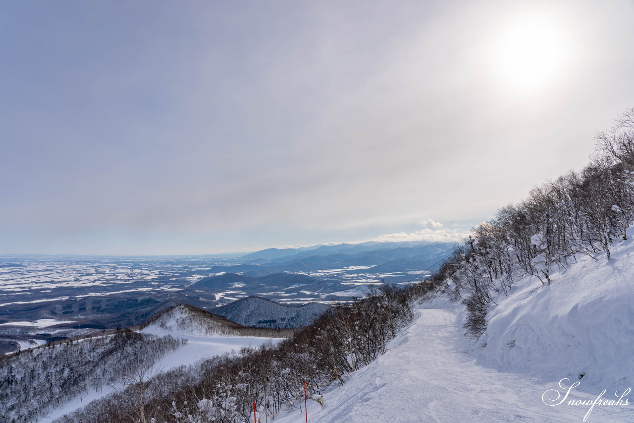 十勝サホロリゾート 快晴の空の下、極上の粉雪クルージングバーンを心ゆくまで味わう１日(*^^*)